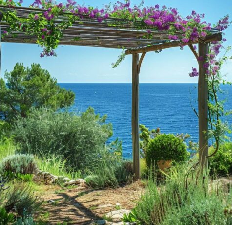 Pergola en bois restaurée avec plantes grimpantes dans un jardin provençal vue mer à Saint-Tropez